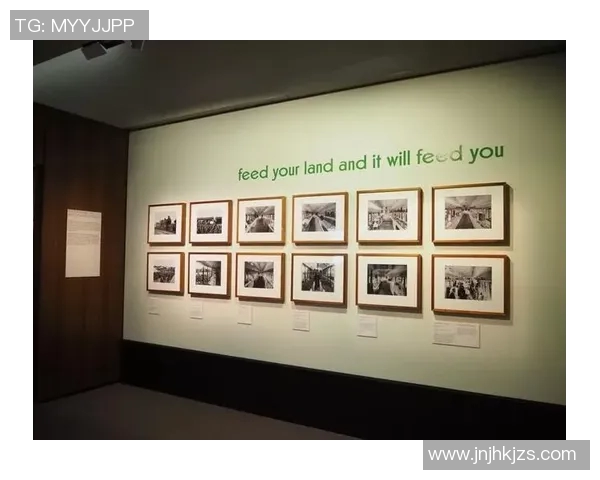 西安篮球队的崛起与挑战全景揭秘篮球巨献的背后故事